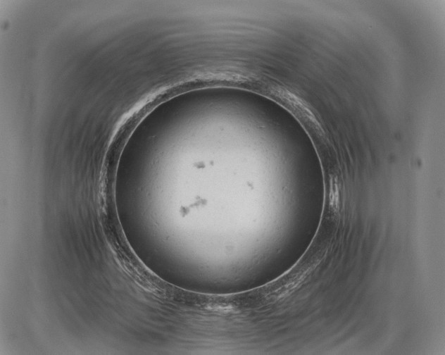 X0000085010388200703191121