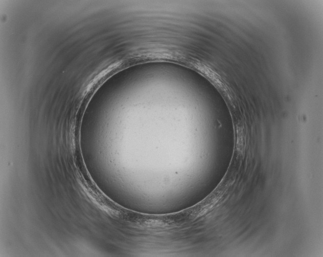 X0000085010390200703191121