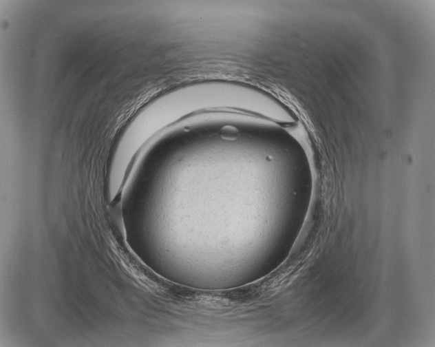 X0000085010393200703191121