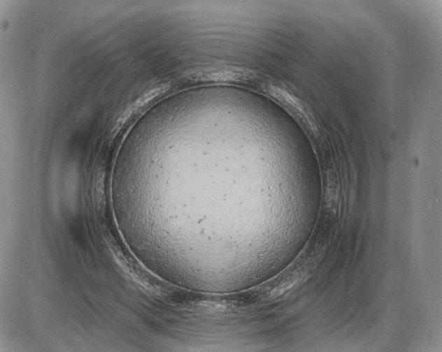 X0000085010394200703191121