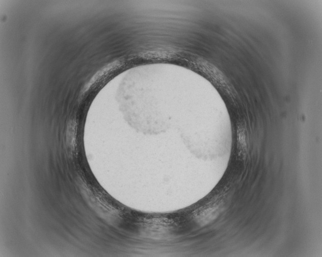 X0000085010396200703191121