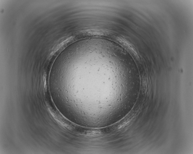 X0000085010398200703191121