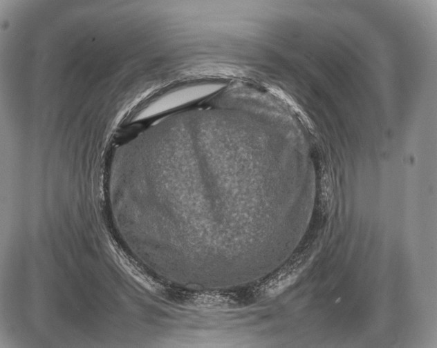 X0000085010399200703191121