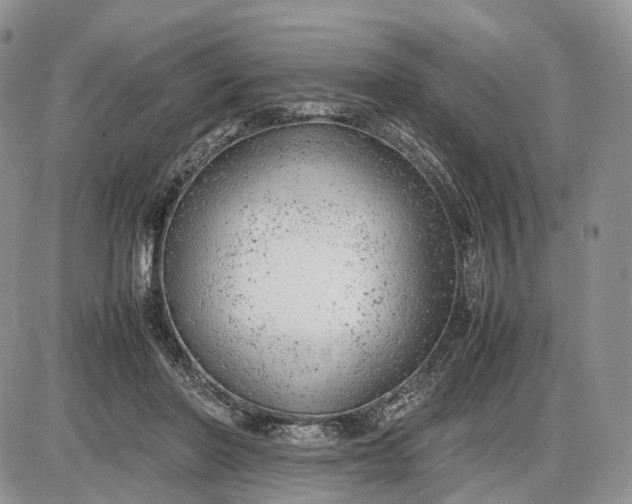 X0000085010406200703191121