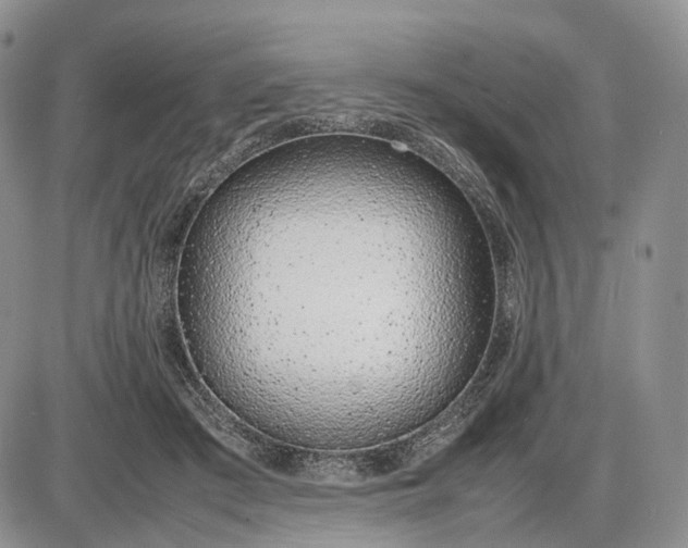 X0000085010409200703191120