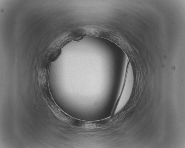 X0000085010413200703191120