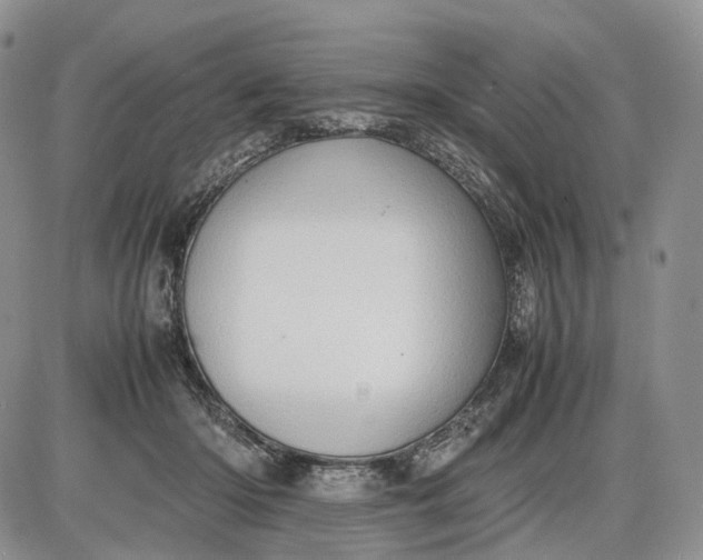 X0000085010414200703191120