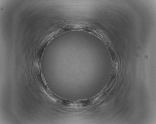 X0000085010415200703191120