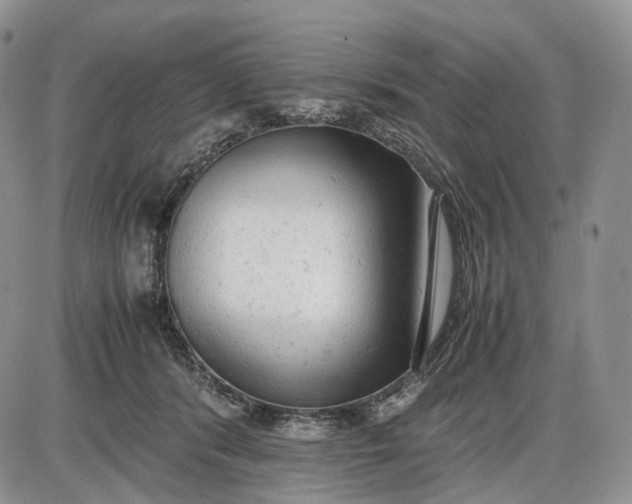 X0000085010416200703191120