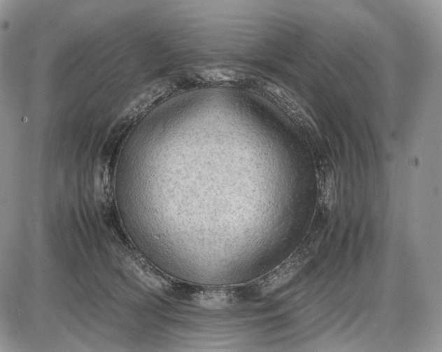 X0000085010418200703191120