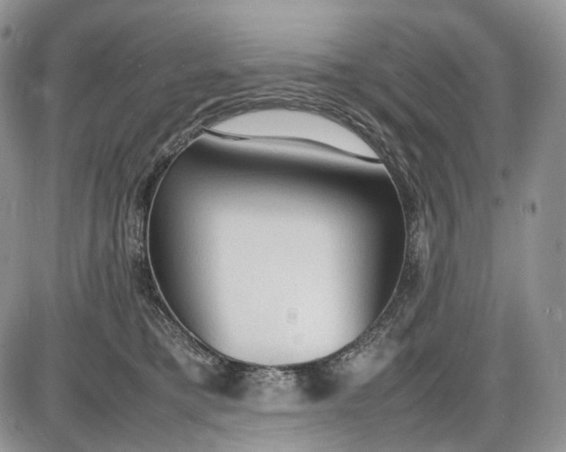 X0000085010421200703191120