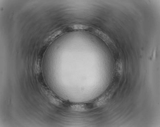 X0000085010422200703191120
