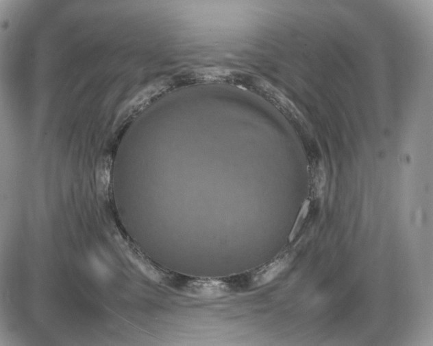 X0000085010427200703191120