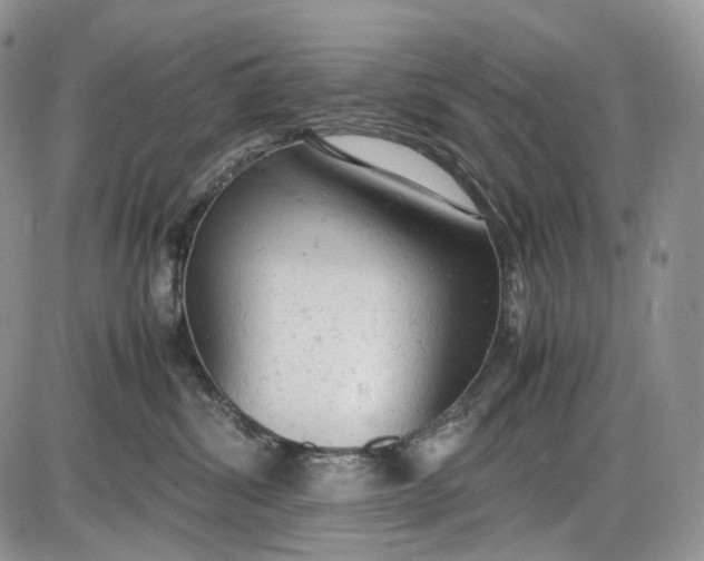 X0000085010428200703191120