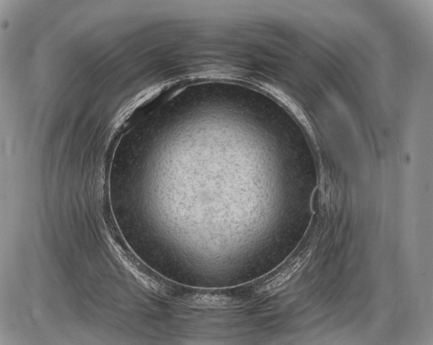 X0000085010437200703191119
