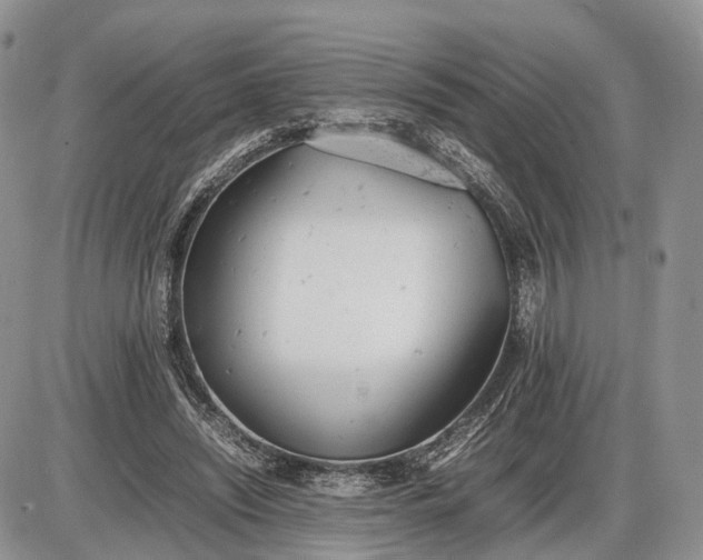 X0000085010444200703191119