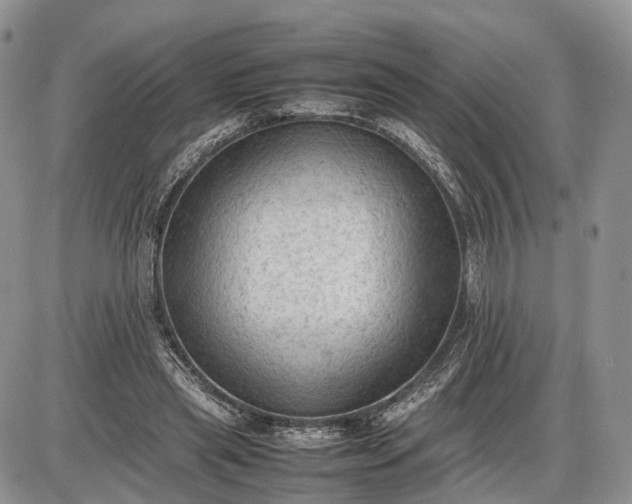 X0000085010445200703191119