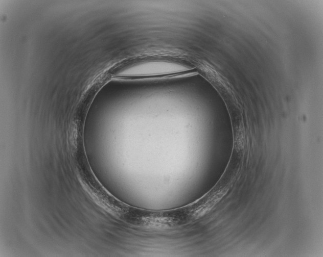 X0000085010448200703191120