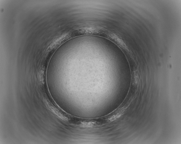 X0000085010450200703191120
