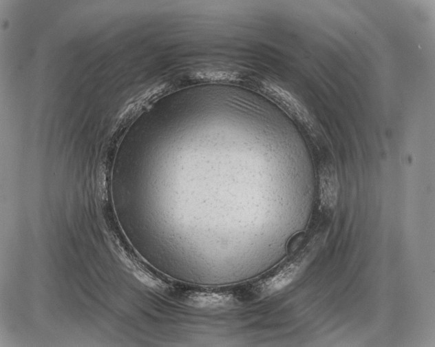 X0000085010453200703191120
