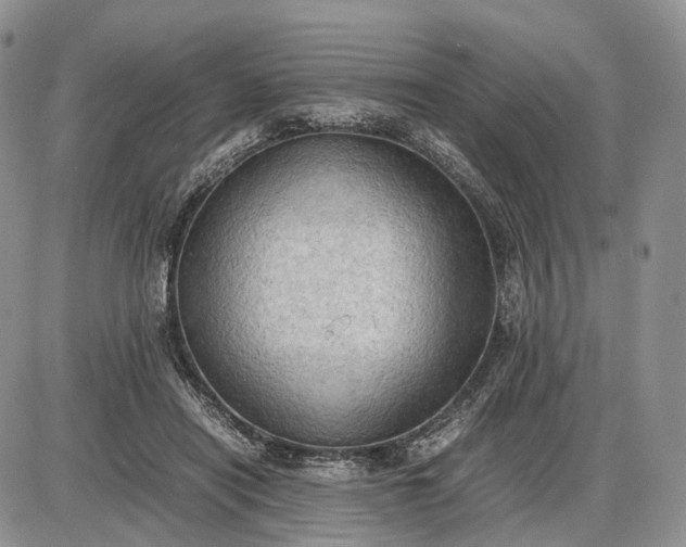 X0000085010454200703191120
