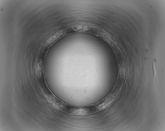 X0000085010460200703191120