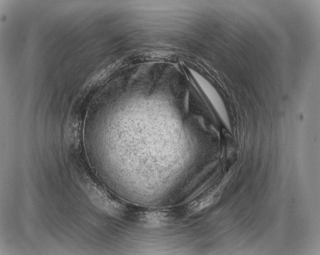X0000085010462200703191120