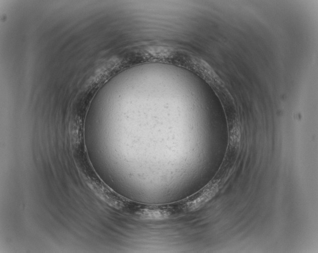 X0000085010464200703191120