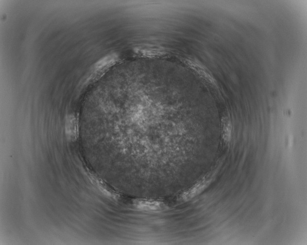X0000085010471200703191120