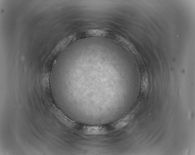X0000085010473200703191120