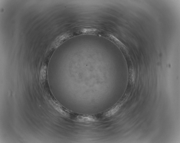 X0000085010475200703191120