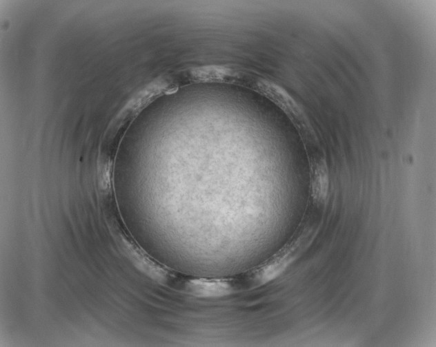 X0000085010477200703191120
