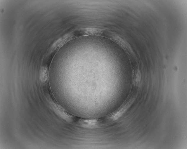 X0000085010478200703191120