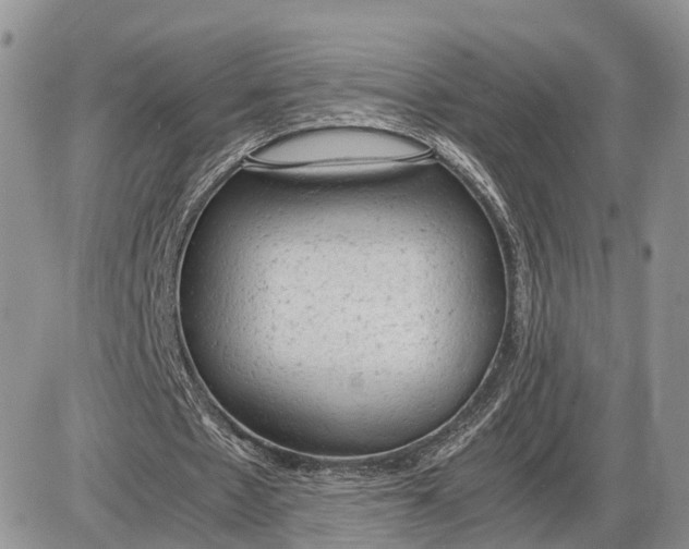 X0000085010481200703191119