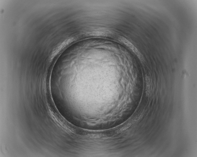 X0000085010482200703191119