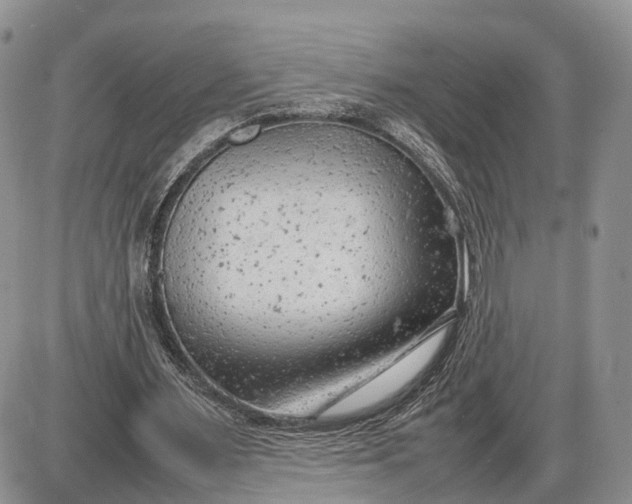 X0000085010483200703191119