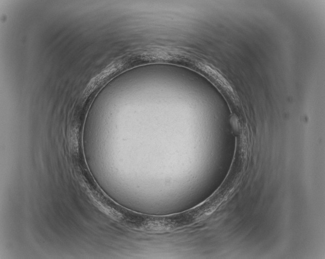 X0000085010489200703191119