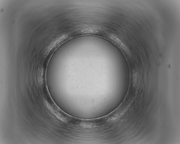 X0000085010490200703191119