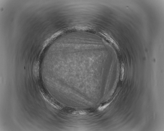 X0000085010492200703191119
