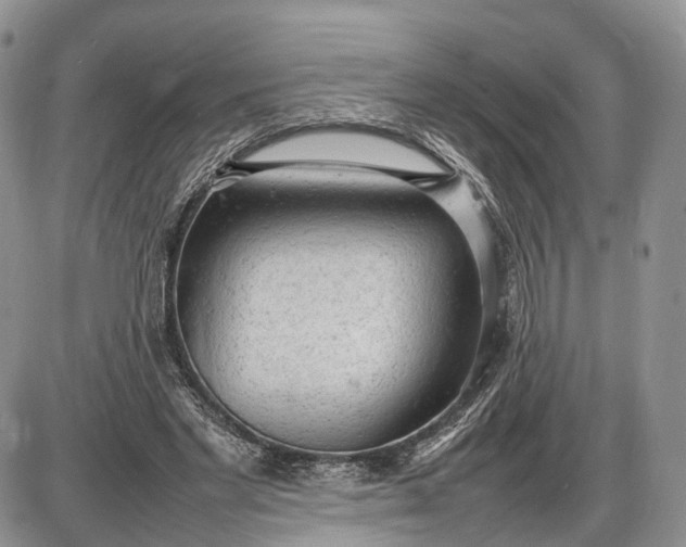 X0000085010493200703191119