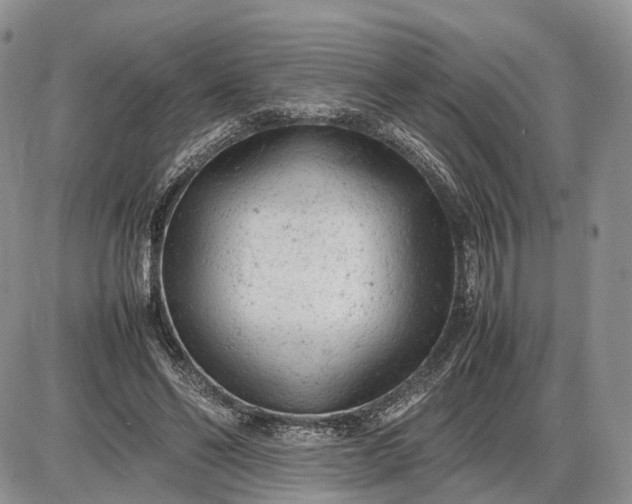 X0000085010494200703191119