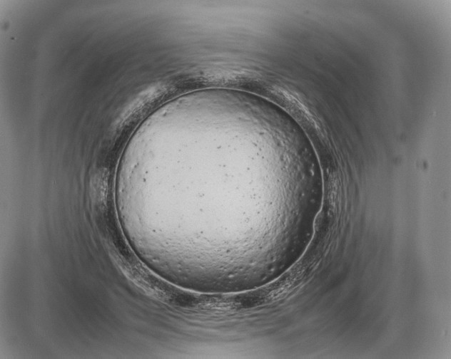 X0000085010495200703191119