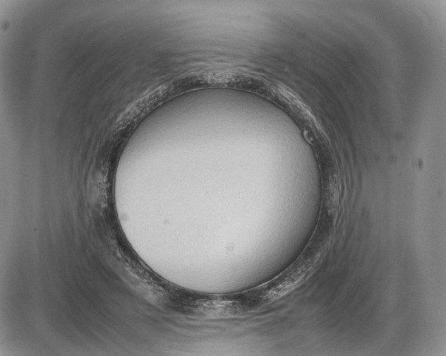 X0000085010497200703191119