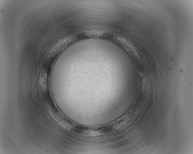 X0000085010498200703191119