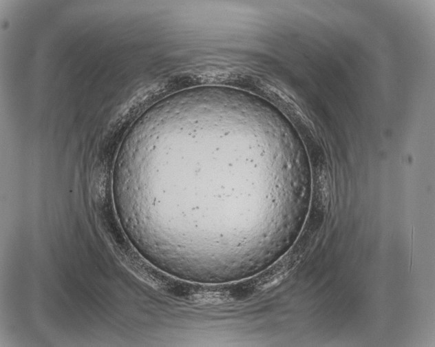 X0000085010499200703191119