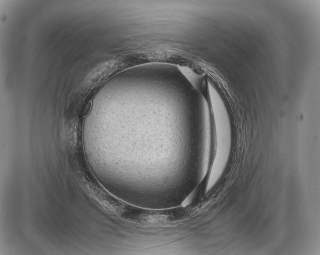 X0000085010501200703191119