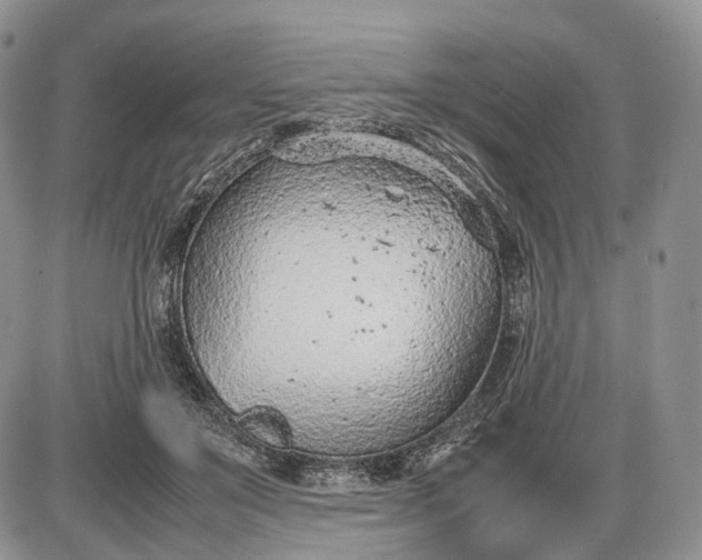 X0000085010503200703191119