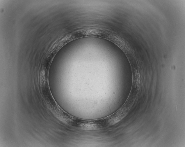 X0000085010506200703191119