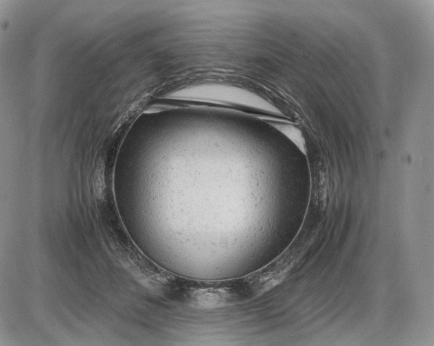 X0000085010508200703191119