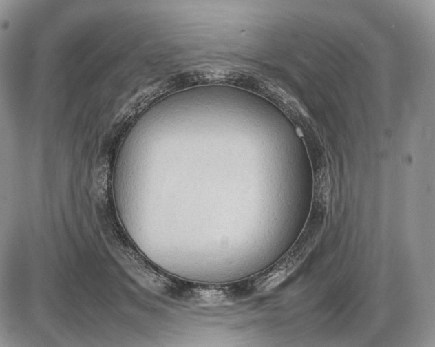 X0000085010509200703191119